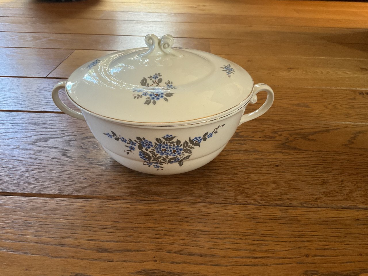 Servies van P.Regout & Co