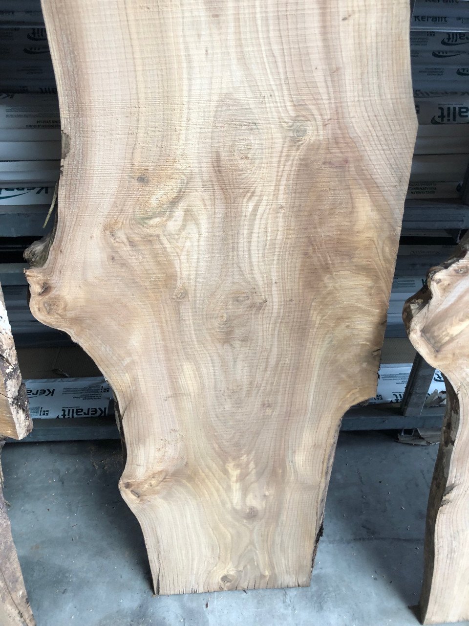 Brede zeeuwse iepen + LINDE boomstam bladen 280 x40-45 x 5, koffie gratis