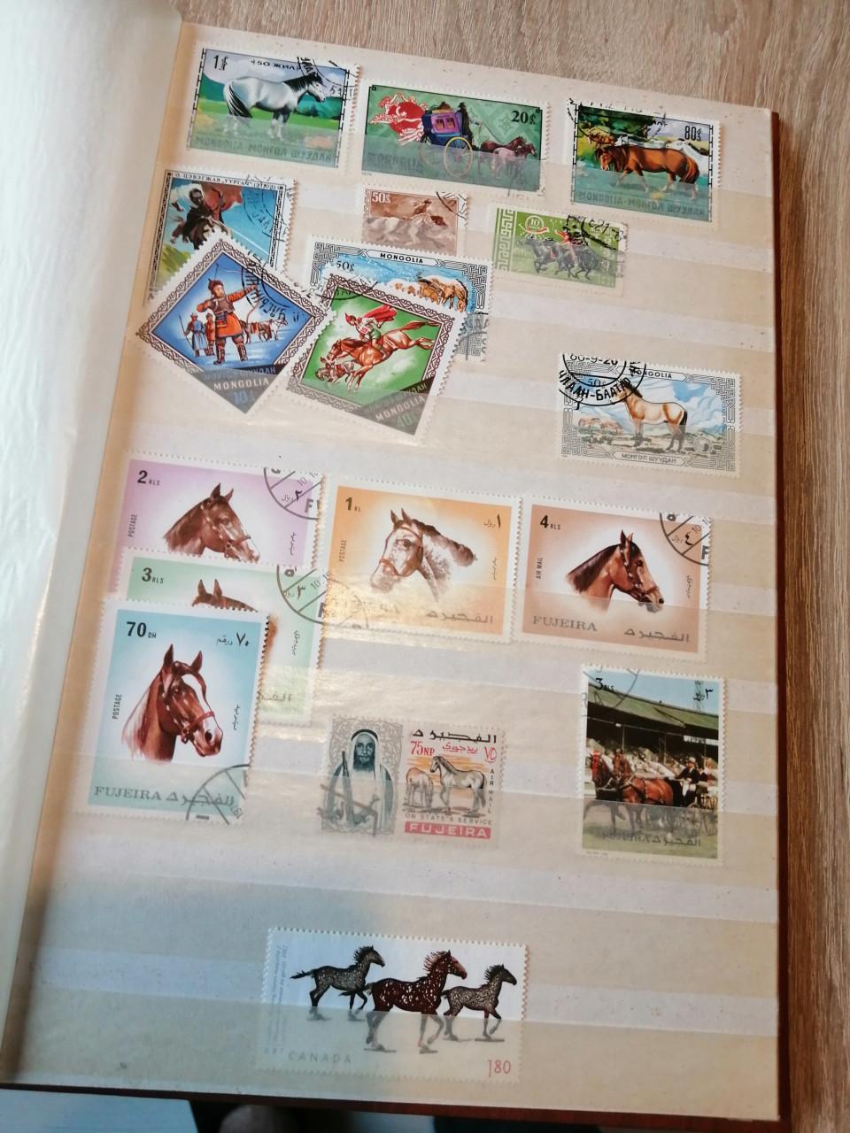 Postzegels paarden