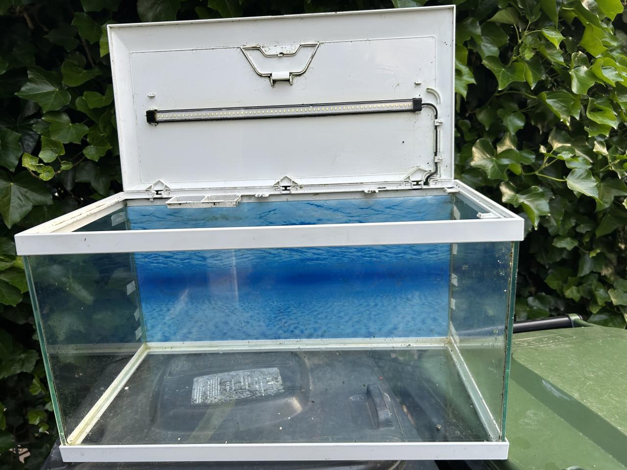 Aquarium met toebehoren