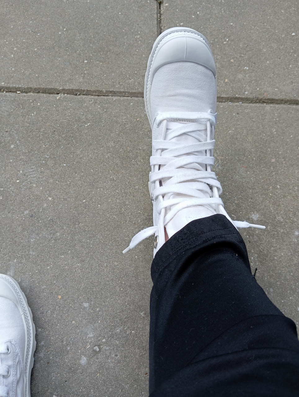 Palladium Baggy Wit 37