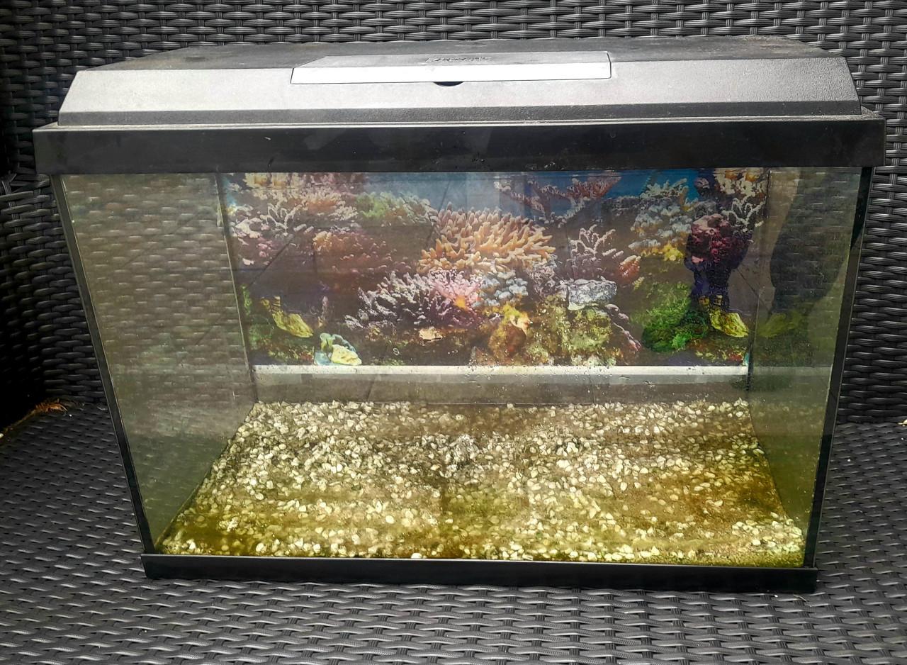 Aquarium Juwel