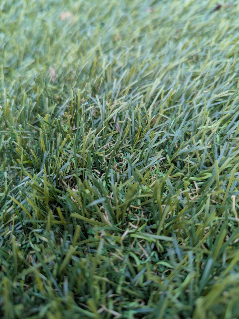 Kunstgras 2 couponnen nieuw.