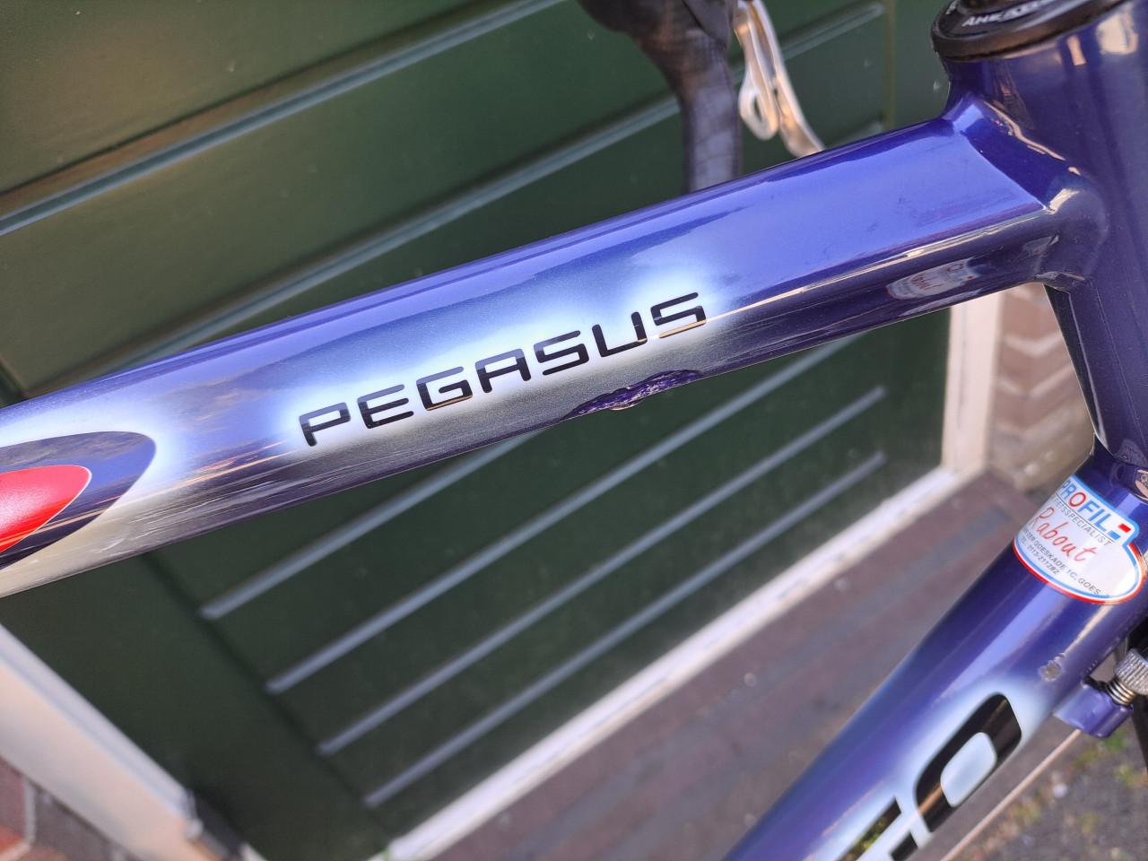 Birago  racefiets