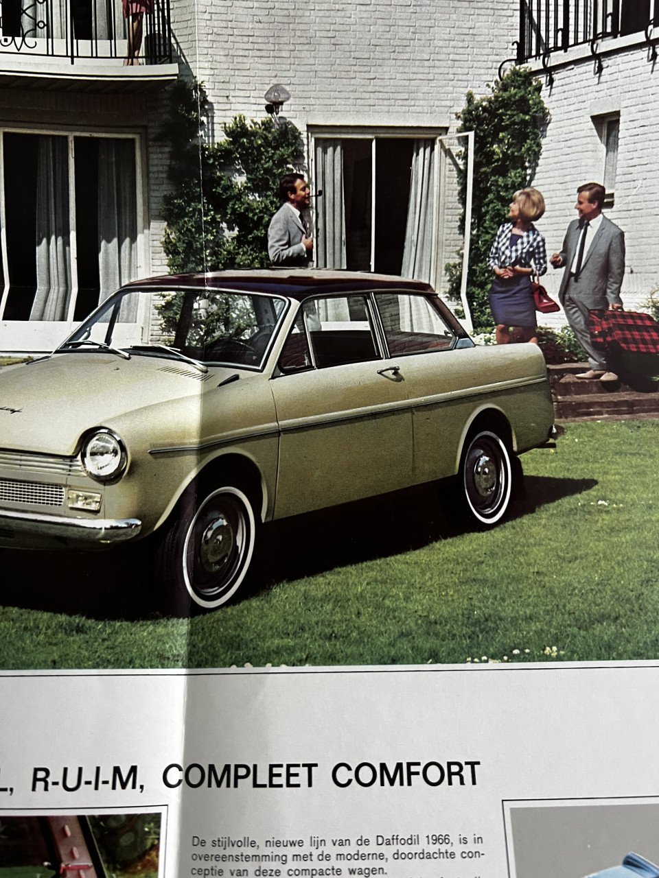 Daffodil 1966