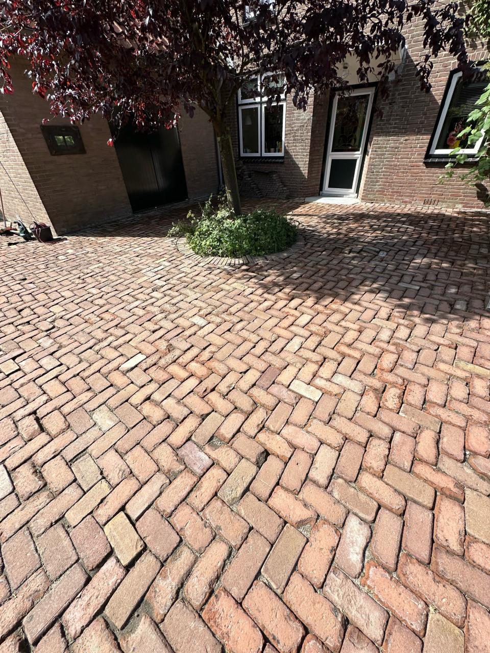 Nog deze zomer uw buitenruimte weer als nieuw? Wij staan voor u klaar!