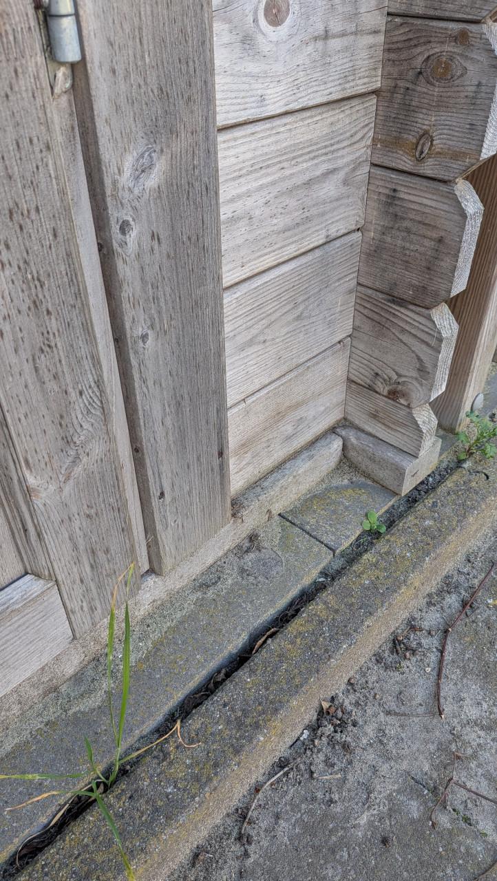 Houten overkapping met schuurtje/berging