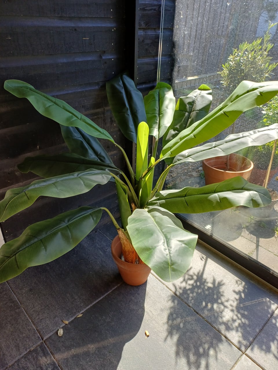 Kunst bananenplant