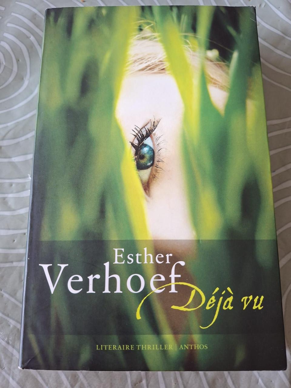 Winterwereld - Linda van Rijn (Literaire thriller)