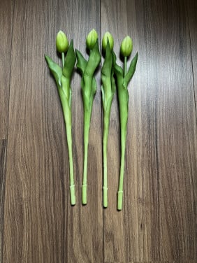 Neptulpen wit