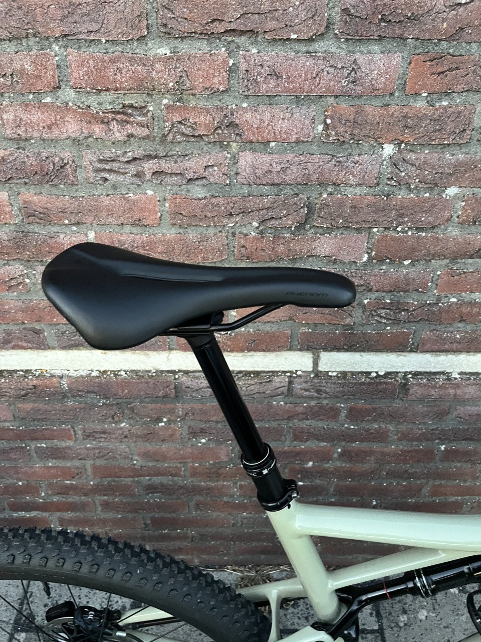 Specialized epic evo XL