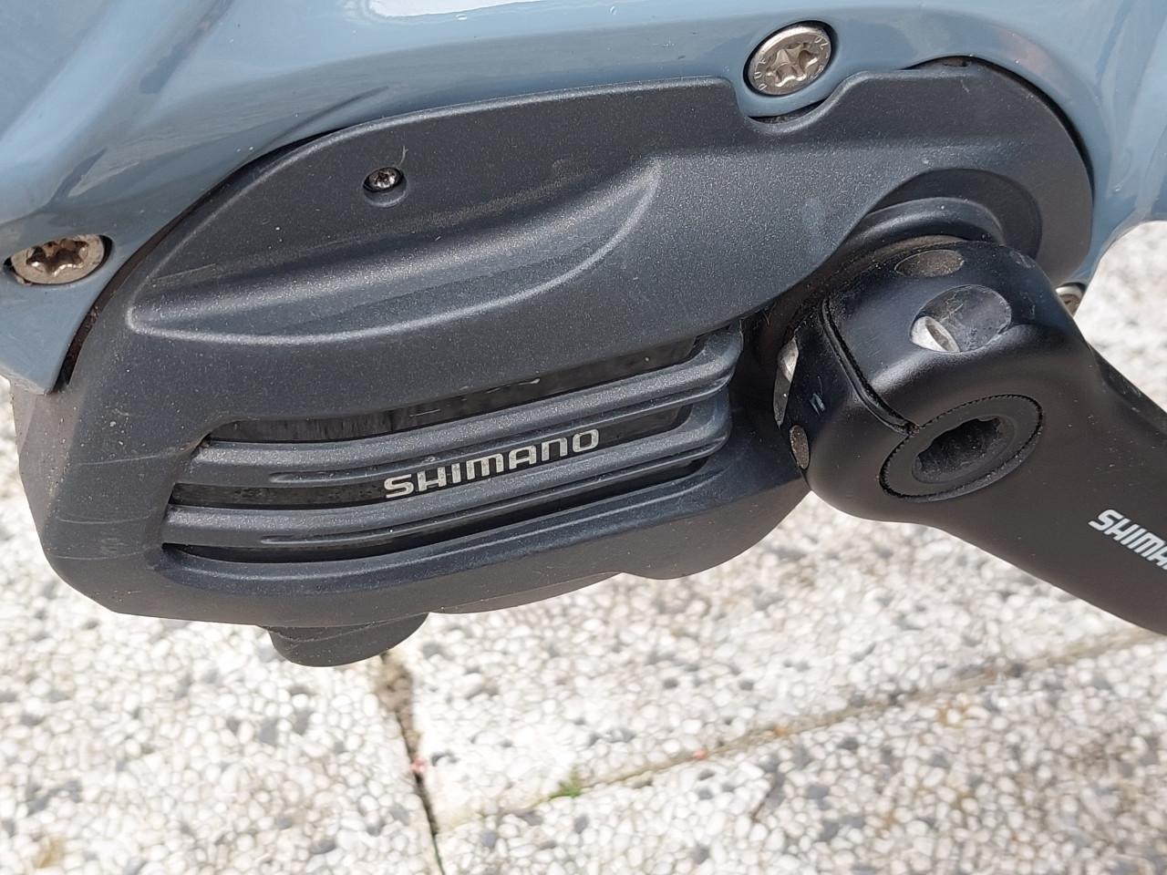 Gazelle Chamonix T10 grey/blue 53