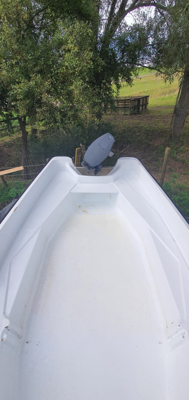 Polyester bootje 20pk incl. trailer, zonnebed en dekzeil