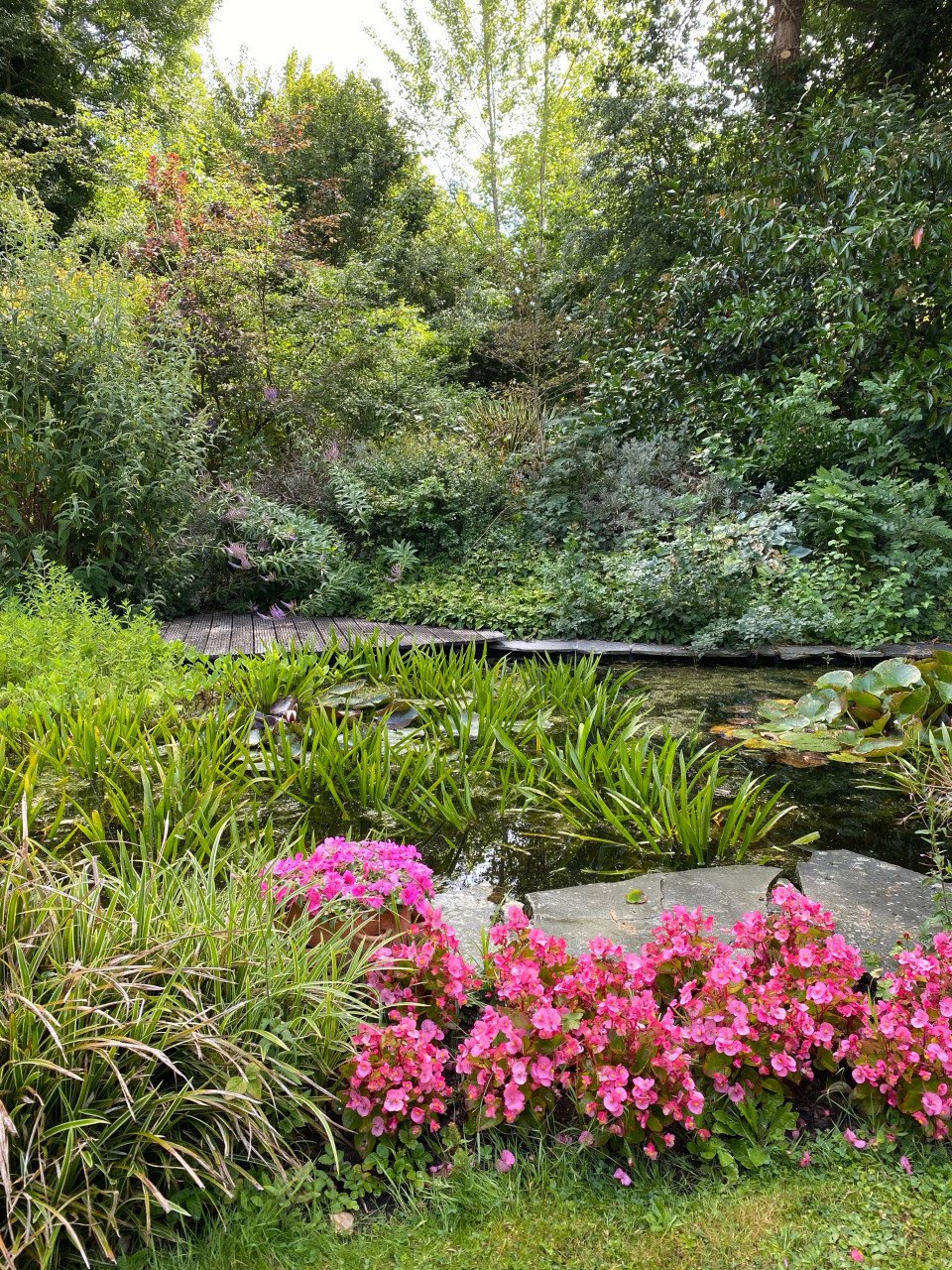 Moederplanten krabbescheer