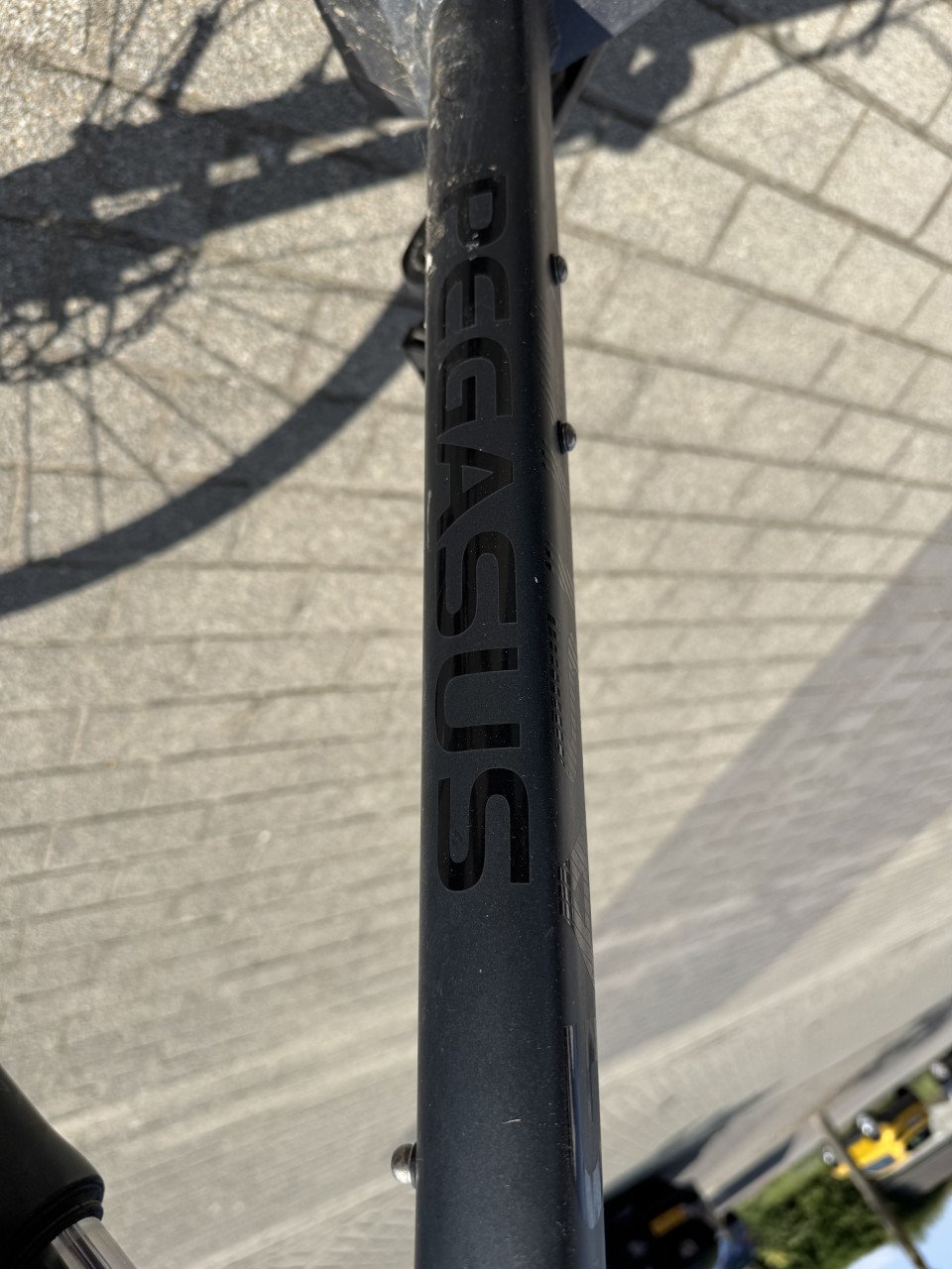 Elektrische herenfiets merk Pegasus