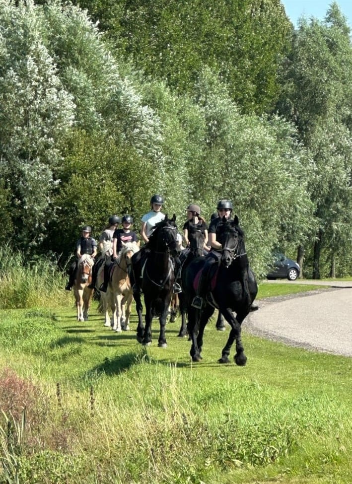 Ponykamp In Middelburg!
