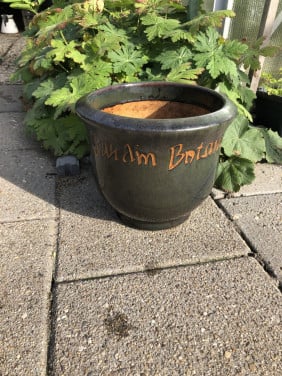 Bloempot