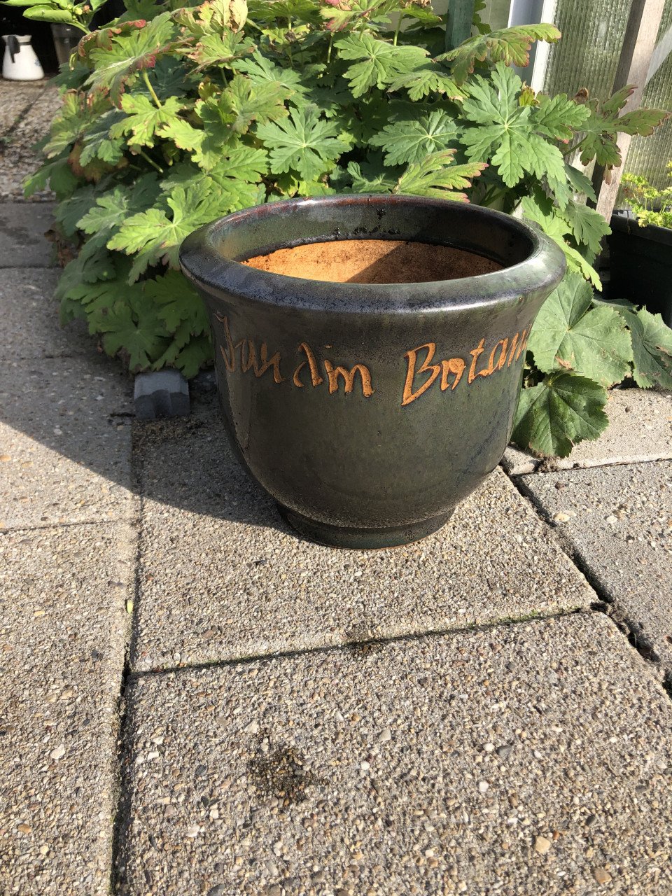 Bloempot