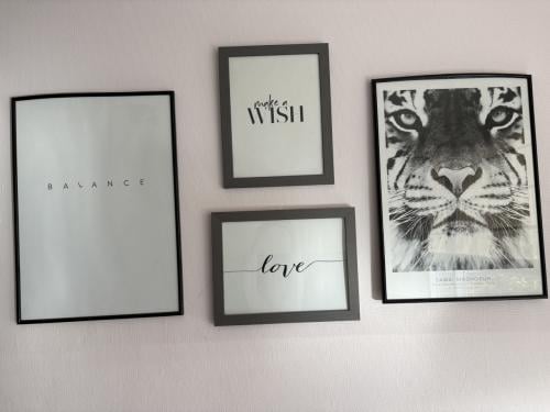 4 fotolijsten + 4 posters
