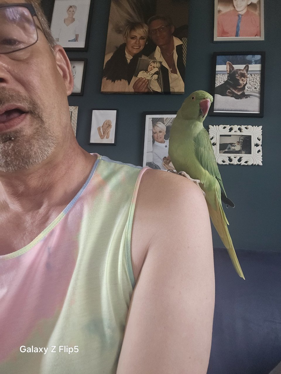 Zeer lieve halsband parkiet  vrouw met volière zand en voer