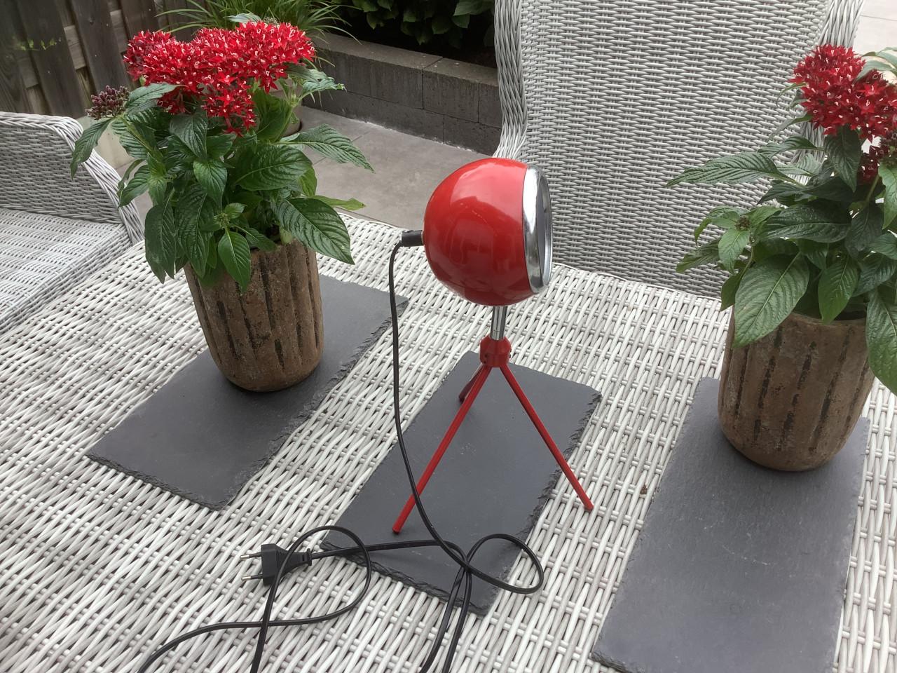 Red Eyeball Desklamp