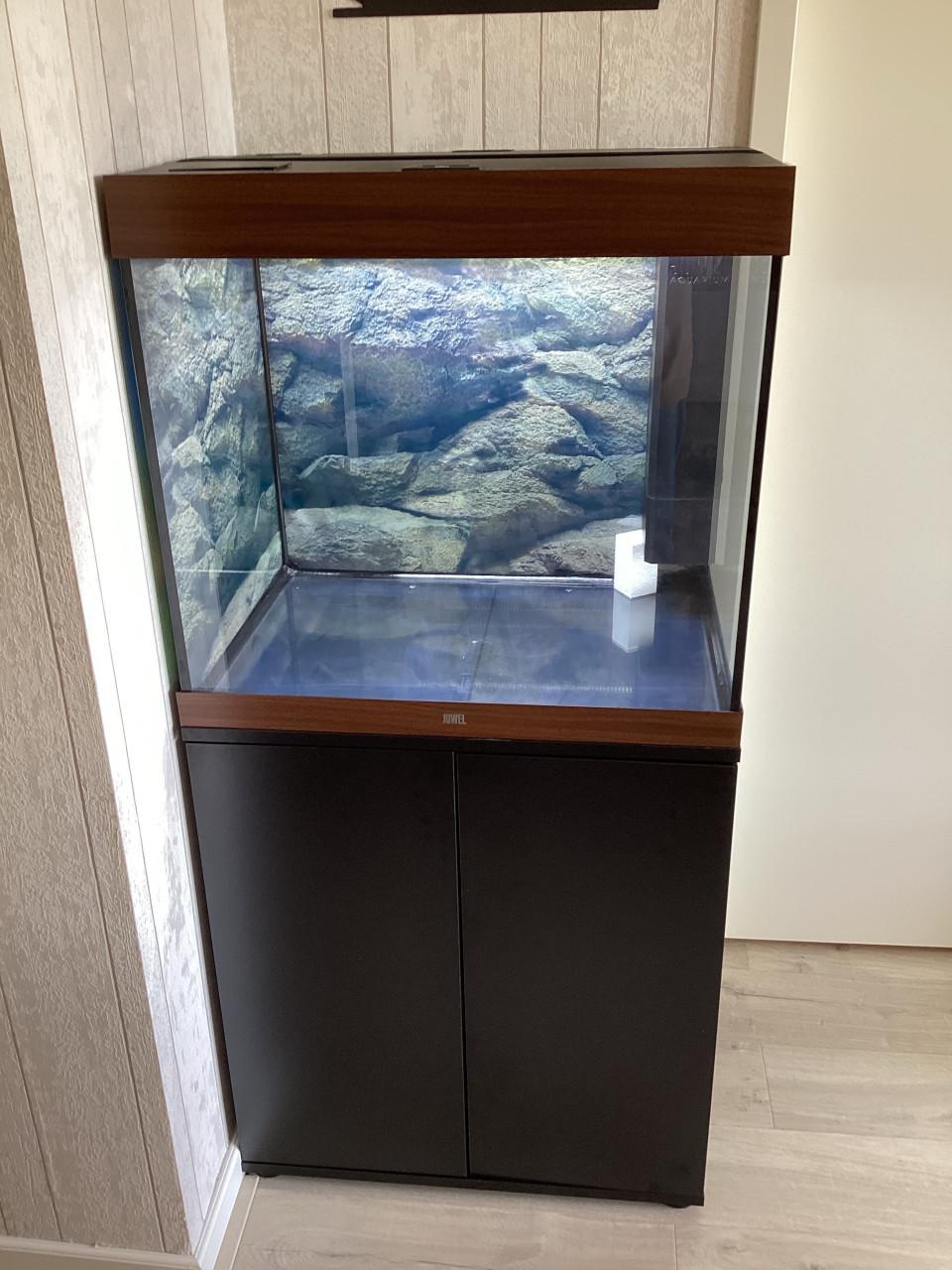 NIEUW AQUARIUM JUWEL LIDO 200