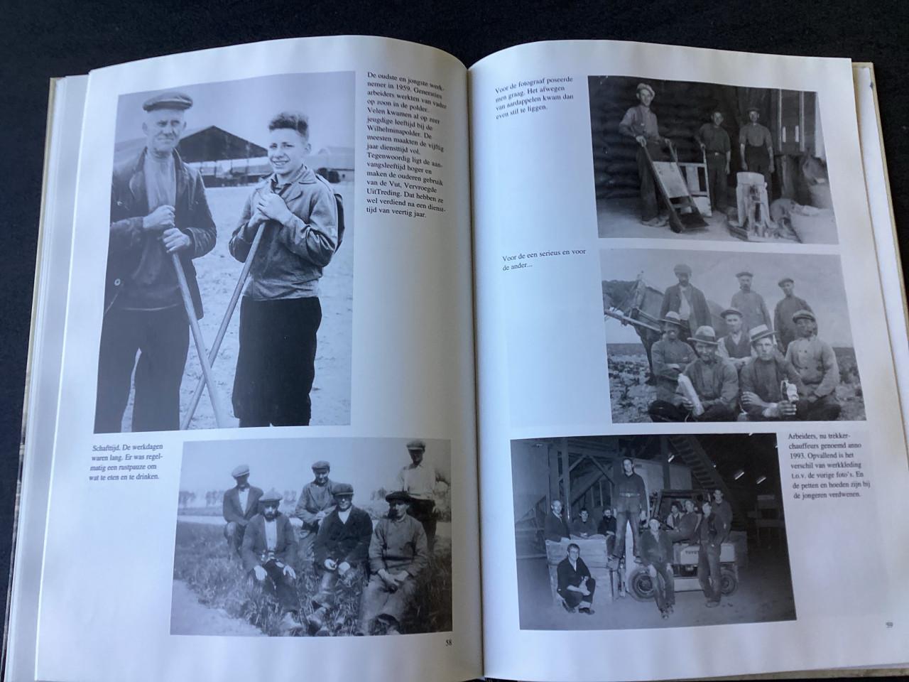 De wilhelminapolder . Zeeland.