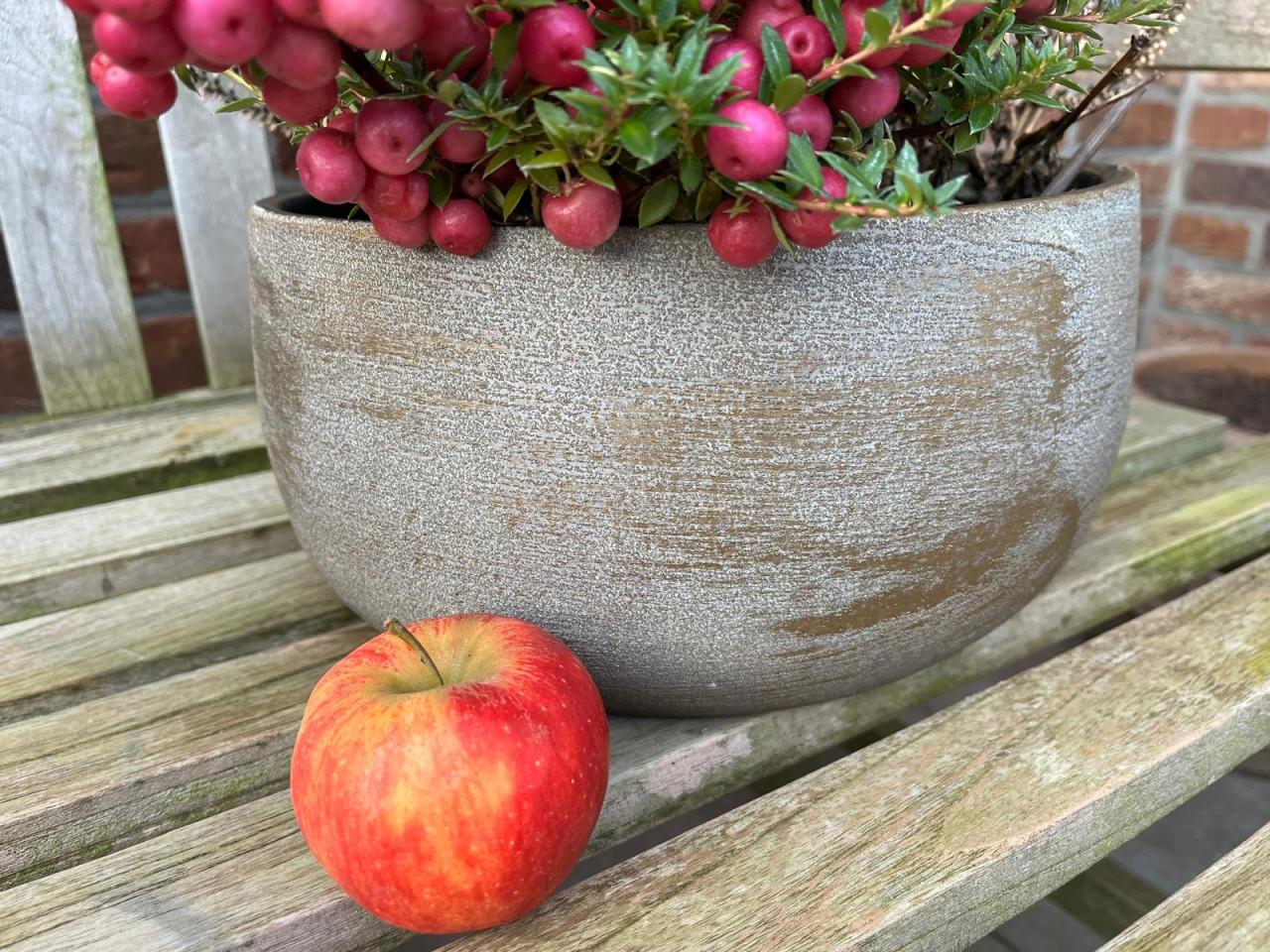 Heideplant met Parelbes in pot op bistrostoeltje