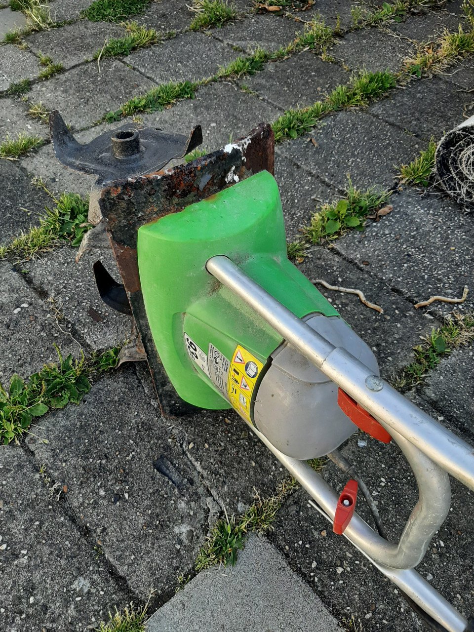 Tuinfrees