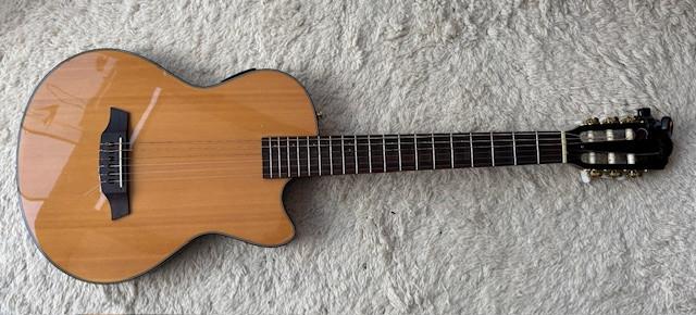 Mooie klassieke elektrische gitaar