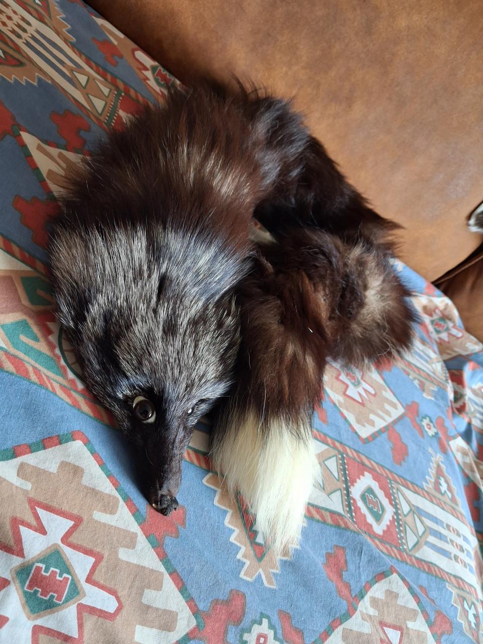 Vos stola en nertsenbont stola