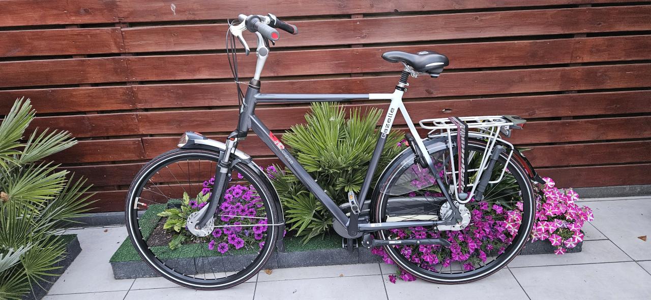 Gazelle Eclipse Limited 65 cm Herenfiets