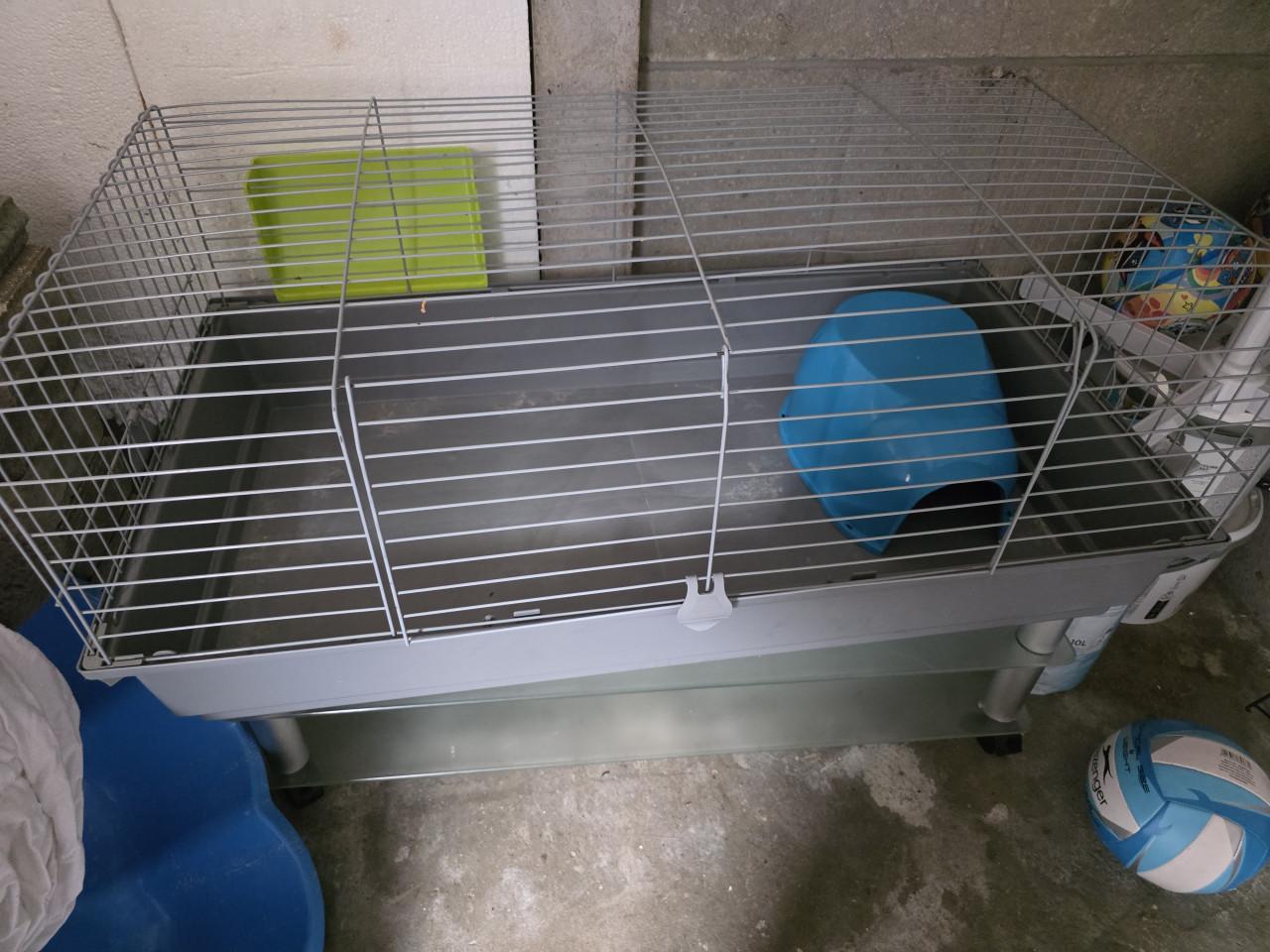 Kooien