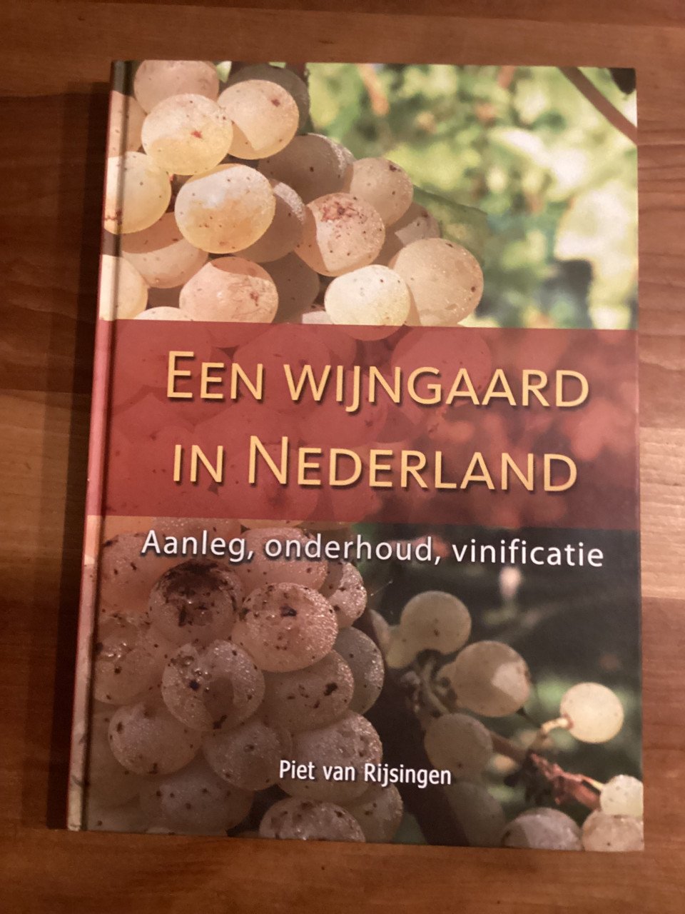 Een wijngaard in Nederland