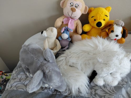 Knuffels