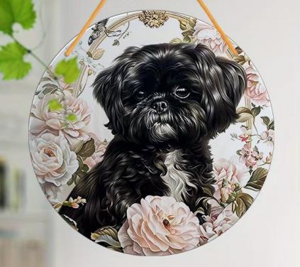 Raamhanger Shih tzu - boomer hondje