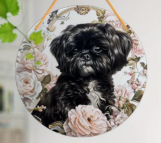 Raamhanger Shih tzu - boomer hondje