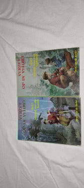 Te Koop: Boeken Verzet op de Veluwe deel 1 en 2