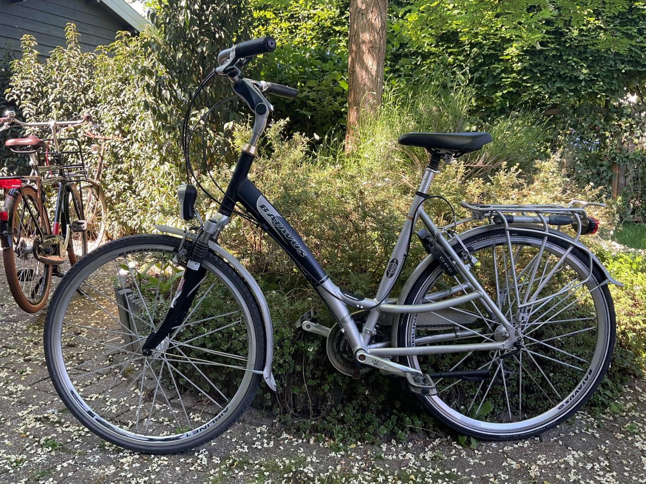 Batavus