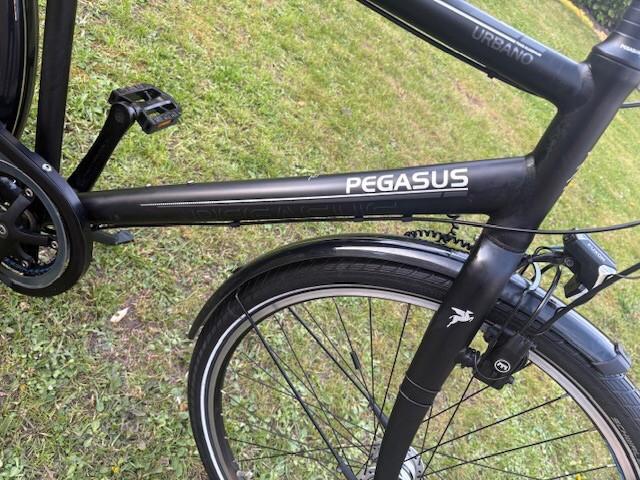 Pegasus Urbano Herenfiets (Beltdrive!)