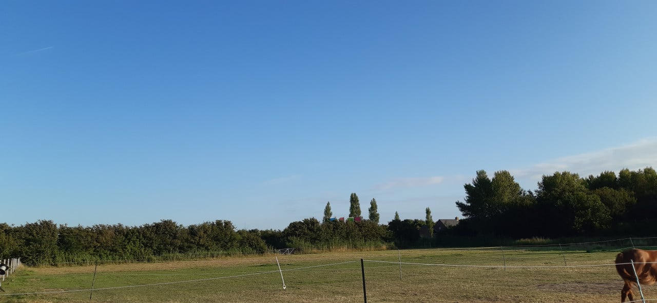 Plekje vrij op paddock paradise Oostkapelle