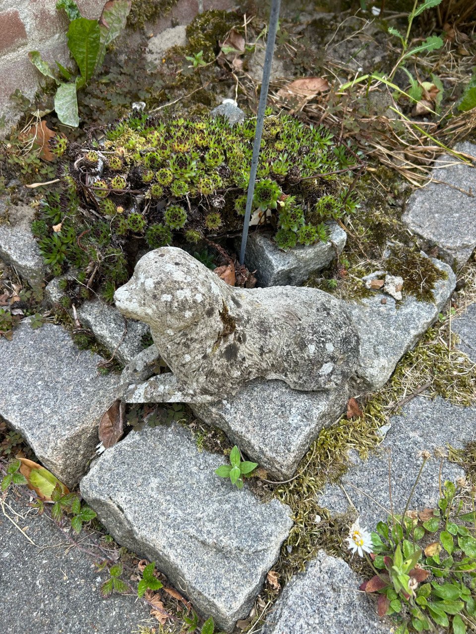 Tuindecoratie + plantenbakken