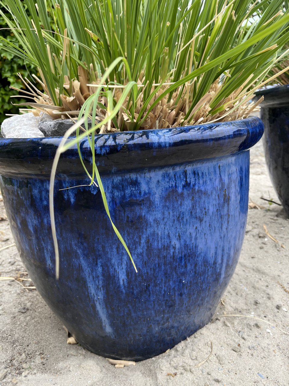 Keramieke bloempotten met pampasgras