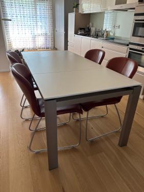 Moderne eettafel met Bert Plantagie stoelen