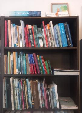 Zeeuwse boeken