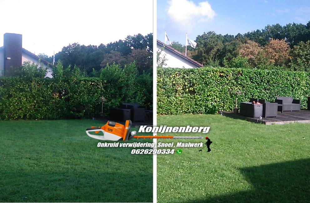 Snoeiwerk , tuinonderhoud