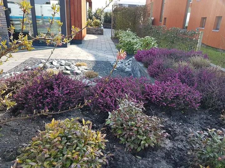 Tuinaanleg & Tuinonderhoud Reimerswaal