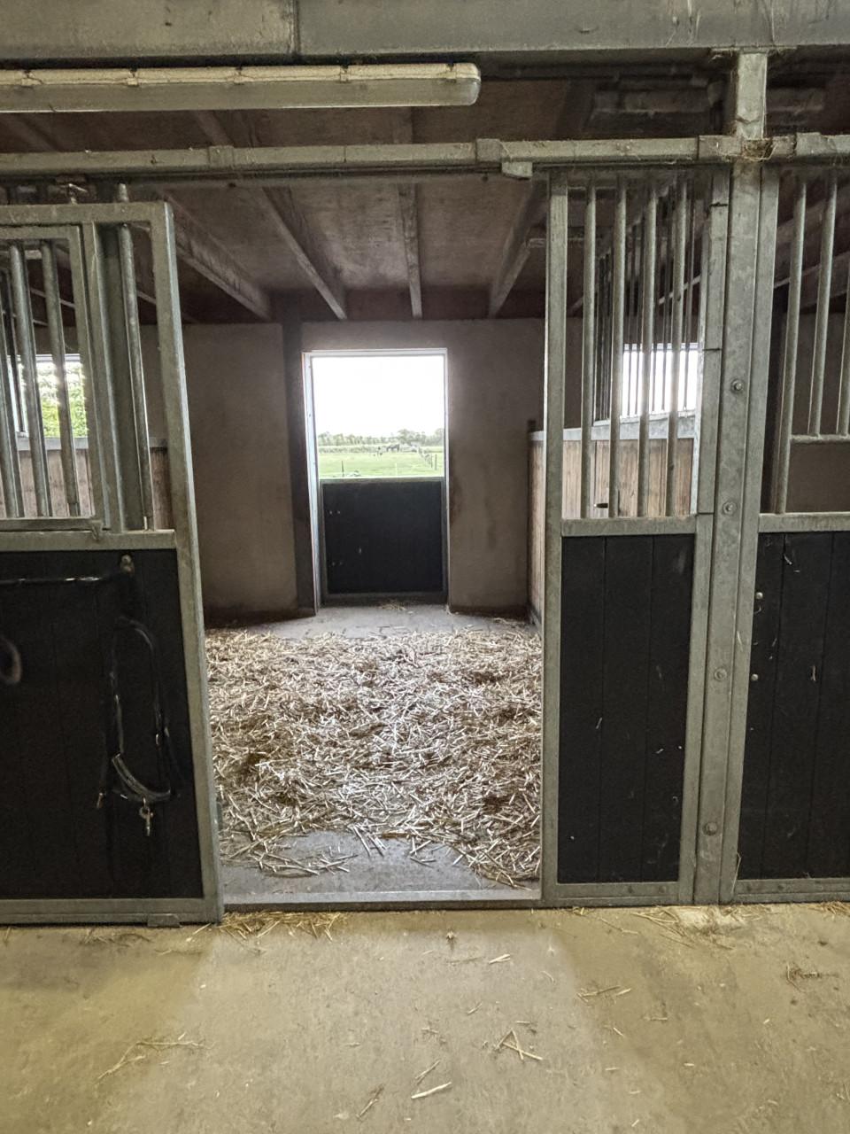 Box vrij op pensionstalling