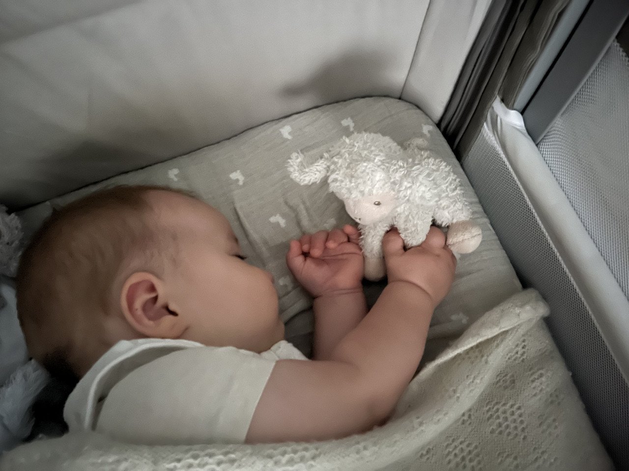 Heerlijke co-sleeper: zo goed als nieuw! Chicco Next2Me Magic Evo