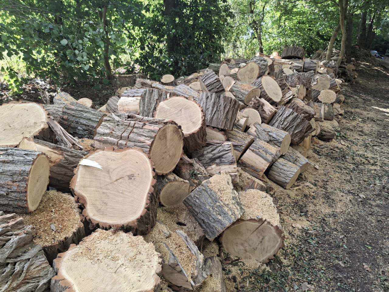 Haardhout zomeraanbieding
